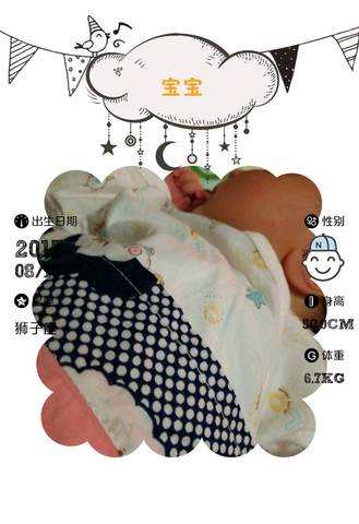 journal_insert_pic_813740614
