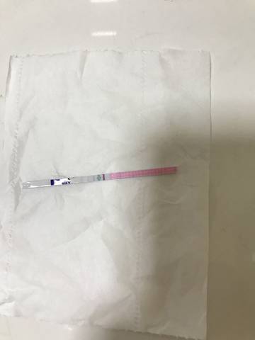 journal_insert_pic_815699974