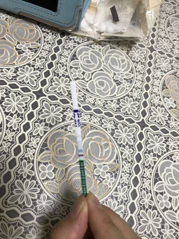 journal_insert_pic_815926453