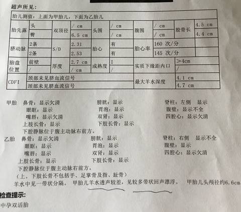 journal_insert_pic_815695349