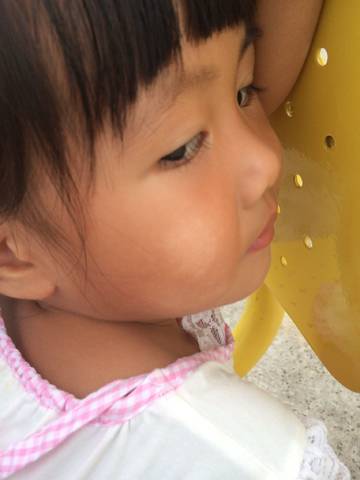 journal_insert_pic_815925586