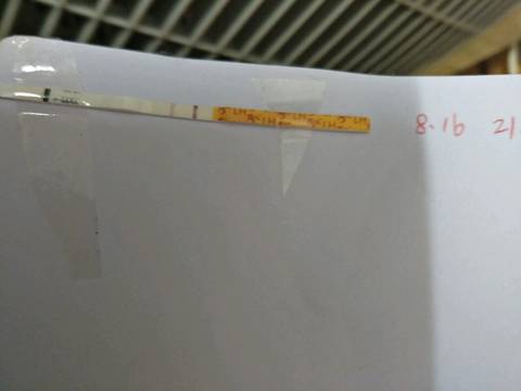 journal_insert_pic_816838735