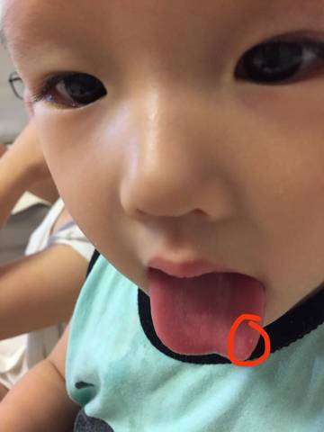 journal_insert_pic_816283395