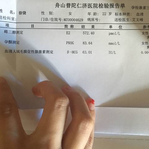 journal_insert_pic_817214578