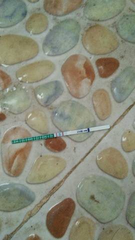 journal_insert_pic_818048445