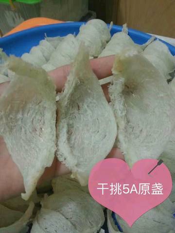 journal_insert_pic_819129032