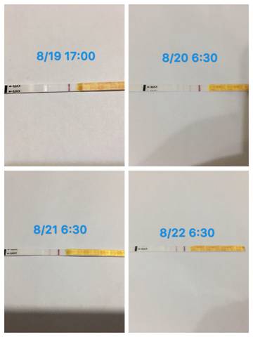 journal_insert_pic_820983769