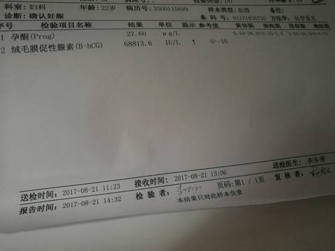 journal_insert_pic_821085085