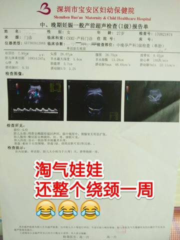journal_insert_pic_820638854