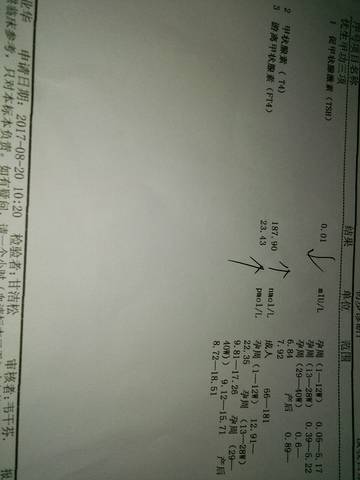 journal_insert_pic_822040047