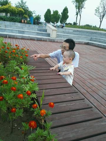 journal_insert_pic_822442412