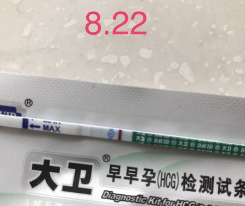 journal_insert_pic_822351917