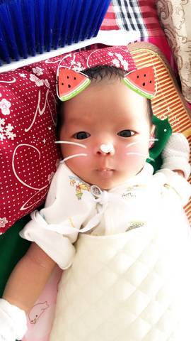journal_insert_pic_822365118