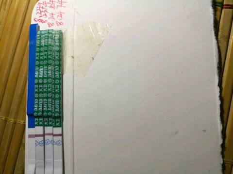 journal_insert_pic_823010120