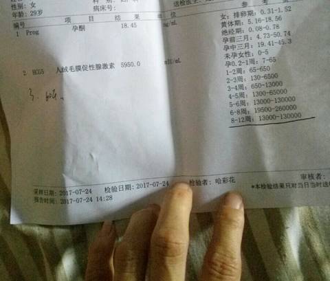 journal_insert_pic_824354101