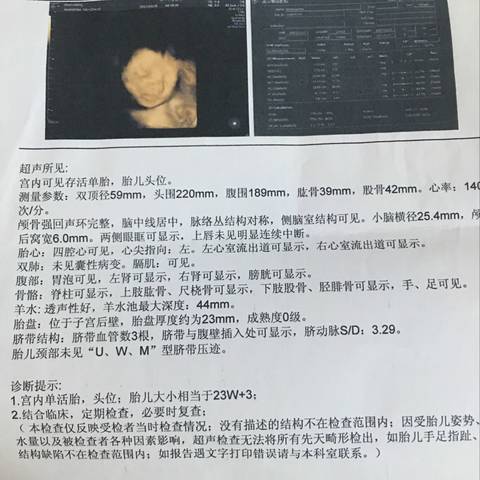 journal_insert_pic_824369082