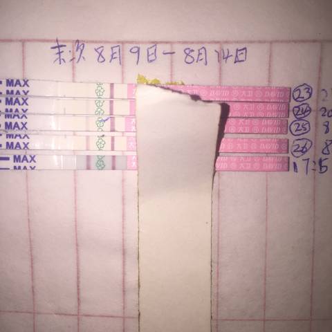 journal_insert_pic_824502194