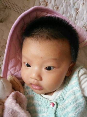 journal_insert_pic_824211036