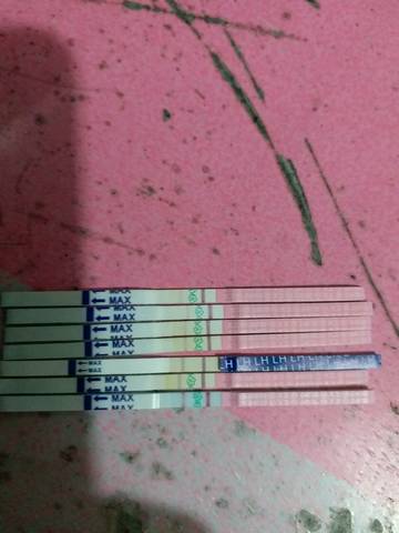 journal_insert_pic_825508016