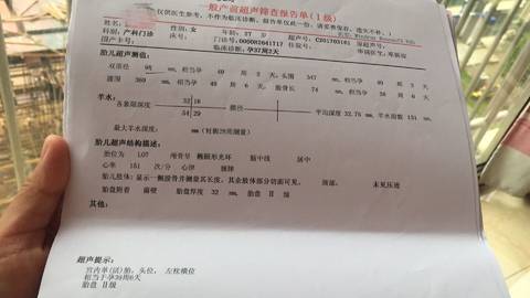 journal_insert_pic_825838803