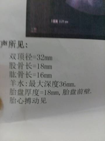 journal_insert_pic_825907090