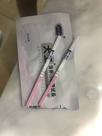 journal_insert_pic_827172816