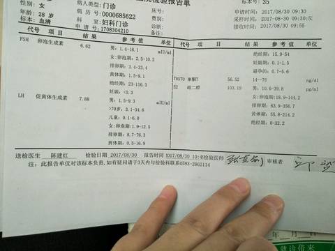 journal_insert_pic_828130546