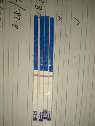 journal_insert_pic_827657458