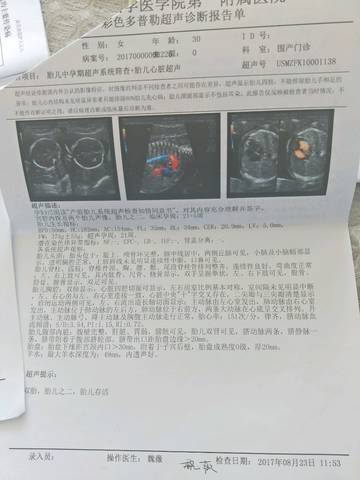 journal_insert_pic_828665244
