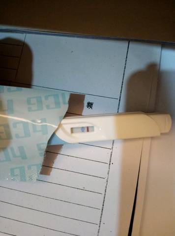 journal_insert_pic_828591914