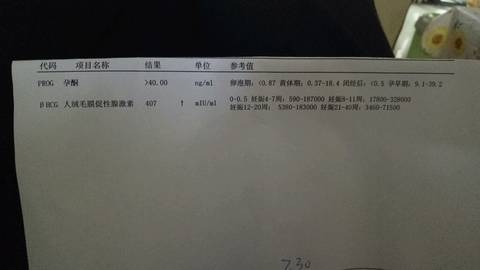 journal_insert_pic_828637628