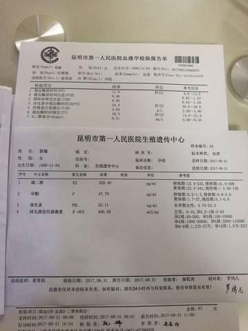 journal_insert_pic_828743825