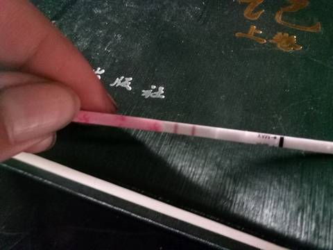 journal_insert_pic_829218021