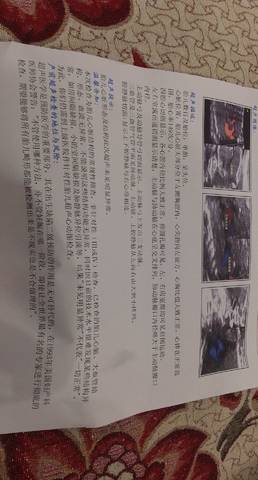 journal_insert_pic_829393451