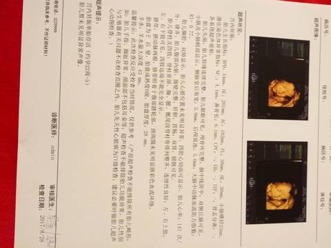 journal_insert_pic_829291411