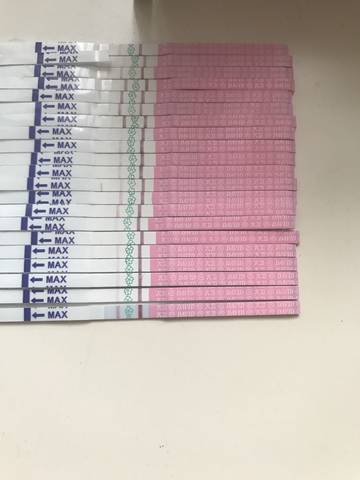 journal_insert_pic_830118250