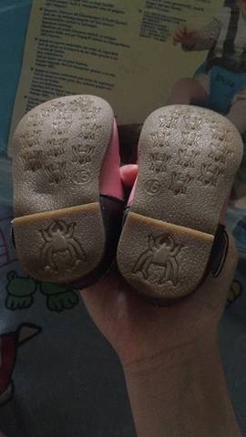 journal_insert_pic_830416074