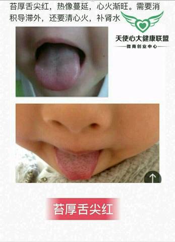 journal_insert_pic_831594231