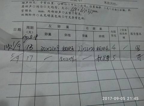 journal_insert_pic_832615311