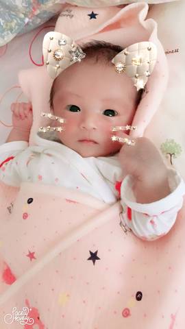 journal_insert_pic_832520926