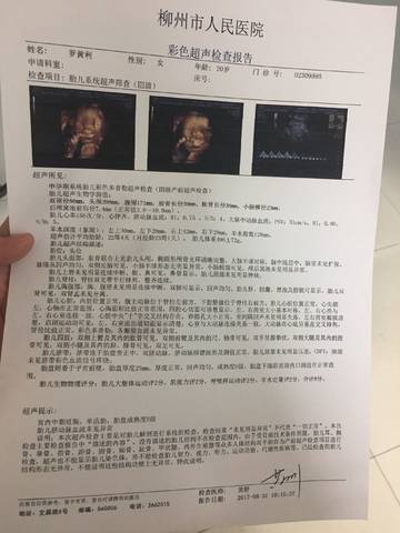journal_insert_pic_832733713