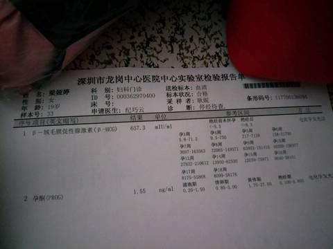 journal_insert_pic_833455845
