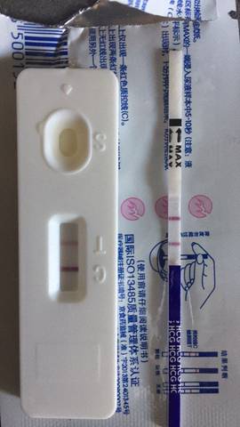 journal_insert_pic_834042335