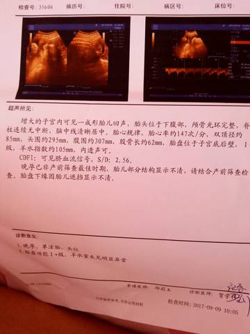 journal_insert_pic_835122204
