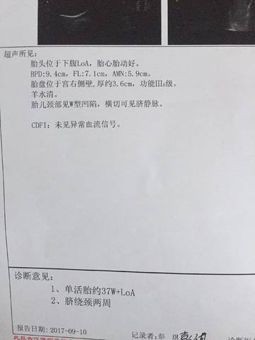 journal_insert_pic_835919267