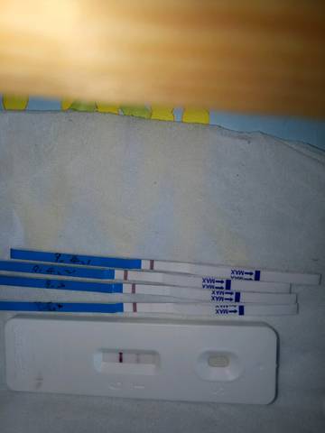 journal_insert_pic_835501195