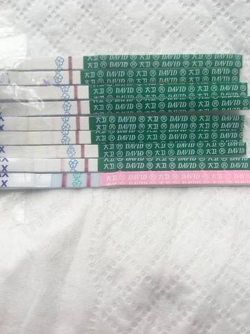 journal_insert_pic_835533844