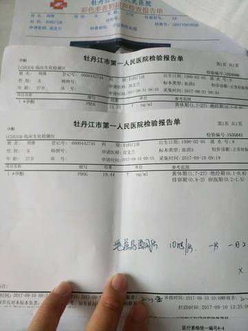 journal_insert_pic_835746640