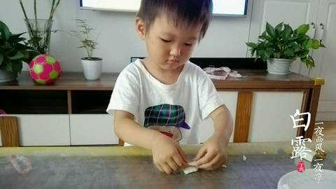 journal_insert_pic_836072084