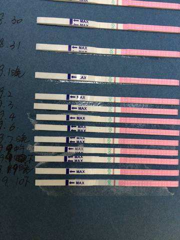 journal_insert_pic_835840270